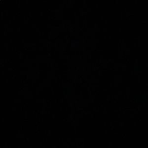 Meet your Posher, Alivia